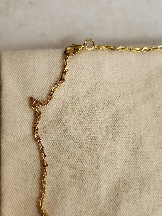 Chanel Unbranded Necklace With Louis Vuitton Dust Cover - Picture 4 of 4